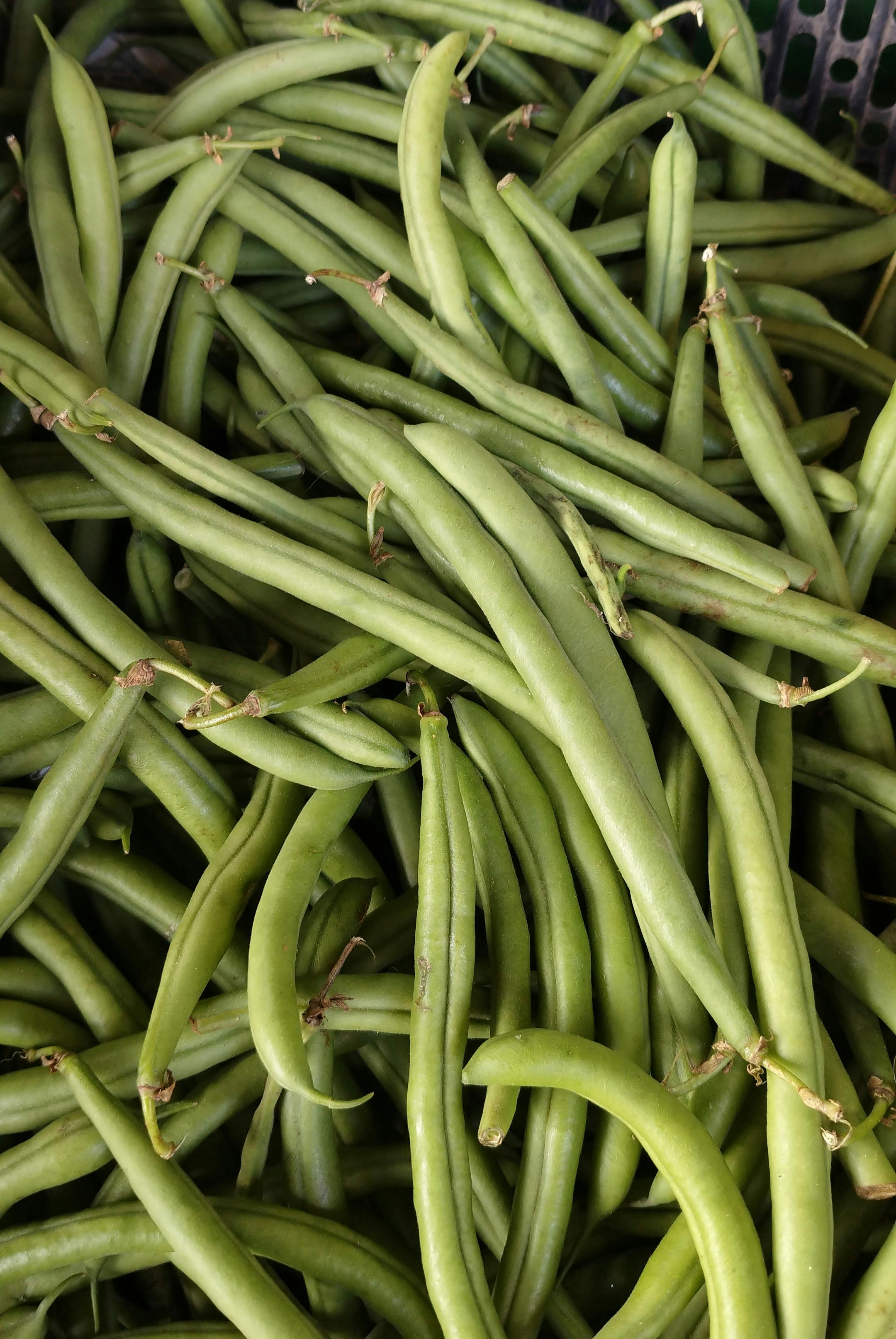 greenbeans